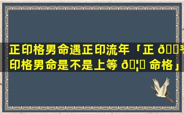 正印格男命遇正印流年「正 🌾 印格男命是不是上等 🦉 命格」